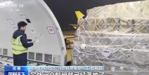 小件包裹拼成大件全球飞奋斗在春天里丨“空中丝绸之路”通达世界 全球货物享受“空空中转”新模式