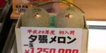娱乐吃瓜酱礼金,揭秘娱乐圈背后的神秘交易