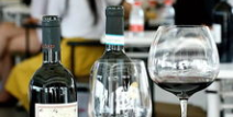 葡萄酒培训,从入门到精通的品鉴之旅