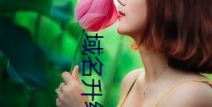 岳风柳萱小说全文免费阅读最新最快赢,赘婿逆袭，家族风云