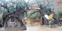 蝴蝶谷中文娱乐网2,探寻东方梦幻乐园的奇幻之旅